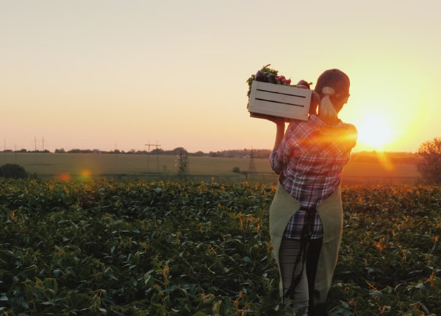 CS Agro Vision